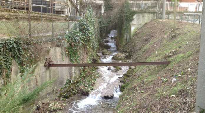 Torrente Culigo pulito grazie ai Volontari della Protezione Civile di Lecco