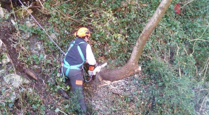 Civate. Protezione Civile al lavoro per la pulizia del Rio Toscio