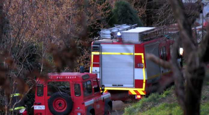 Travolto dall’albero che stava tagliando: paura per un 61enne