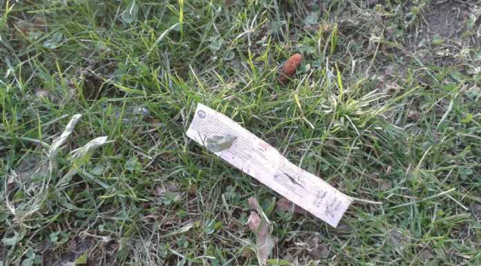 Acquate: siringhe nell’aiuola vicino alle scuole elementari