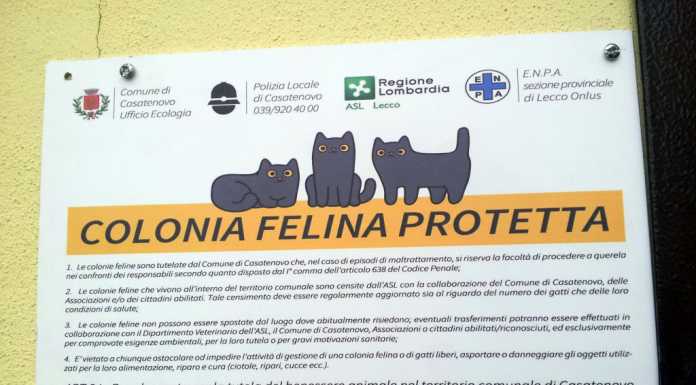 Casatenovo: un cartello per tutelare i gatti di Valaperta