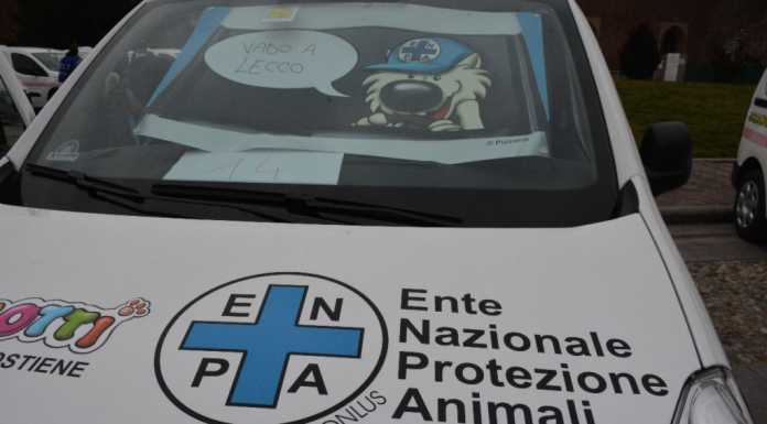 Gli “Amici Cucciolotti” regalano a Lecco l’ambulanza salvanimali