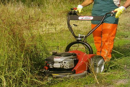 Scarti vegetali agricoli, Tentori: “Una legge per non considerarli rifiuti”