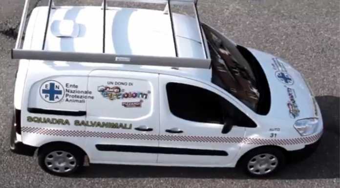 Enpa: assegnata a Lecco un’ambulanza per soccorso animali