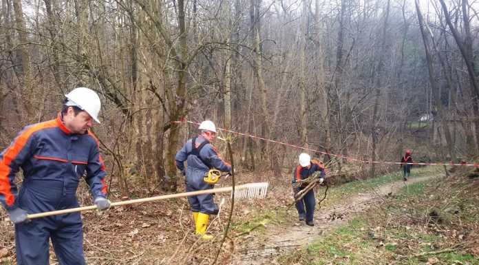 Bulciago: la Protezione Civile ripulisce le sponde del Bevera