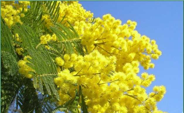 Pittura femminile al Cif: vincono Donata Bonanomi e Silvana Arrigoni