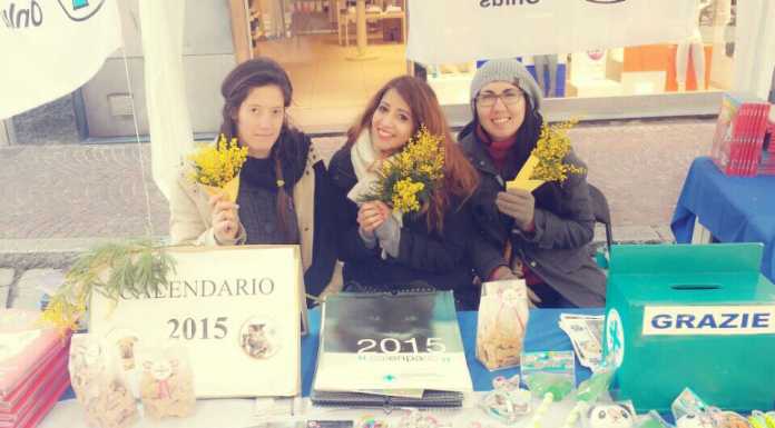 8 marzo: a ruba le mimose “salva animali” dell’ENPA di Lecco