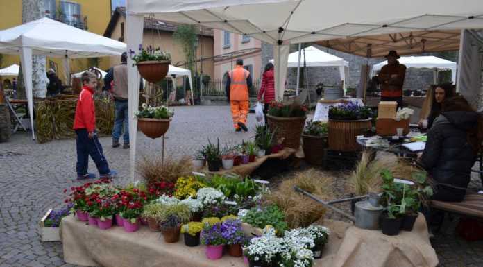Fiori, colori e mostre: Varenna alza il sipario sulla primavera