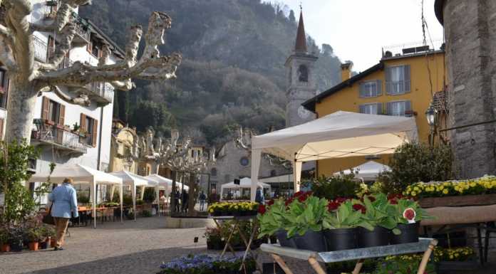 “Primav… arenna”, due giorni tra fiori, visite guidate e incontri