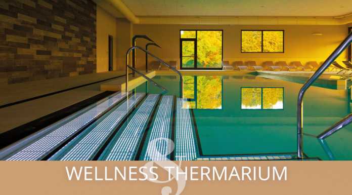 Snef protagonista al forum piscine 2015