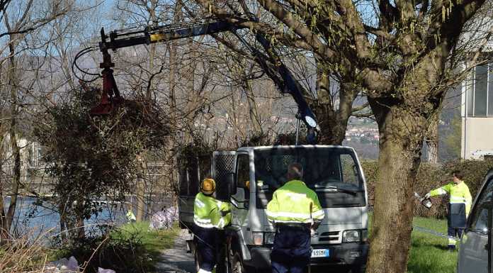 Calolzio. Giornata di lavoro per la neonata Protezione Civile