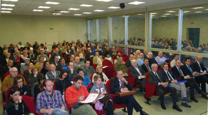 Job Act. Gli artigiani: “Sì al contratto a tutele crescenti”