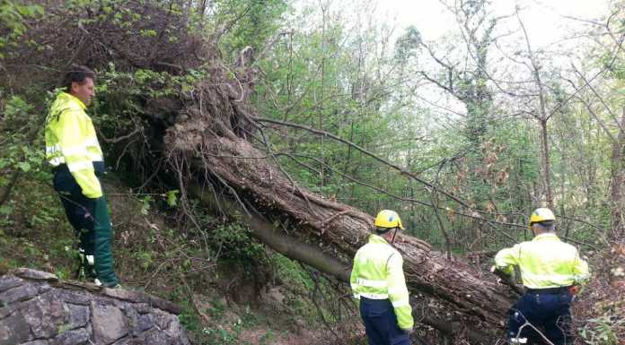Calolzio: praticabile la strada per Oneta grazie ai volontari