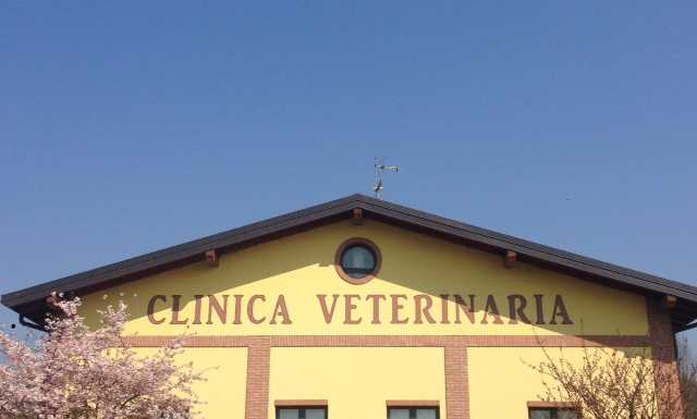 In provincia nasce il primo Pronto Soccorso per animali