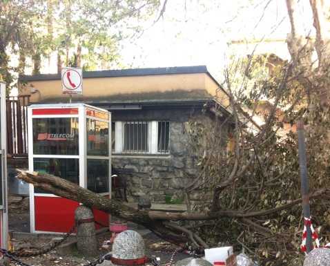 Operazione decoro di NCD: “In centro uno spettacolo inguardabile”