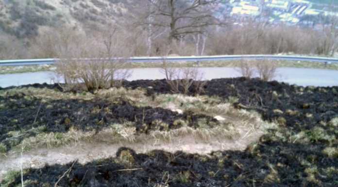 Le foto dal Cornizzolo, all’indomani della notte di “fuoco”