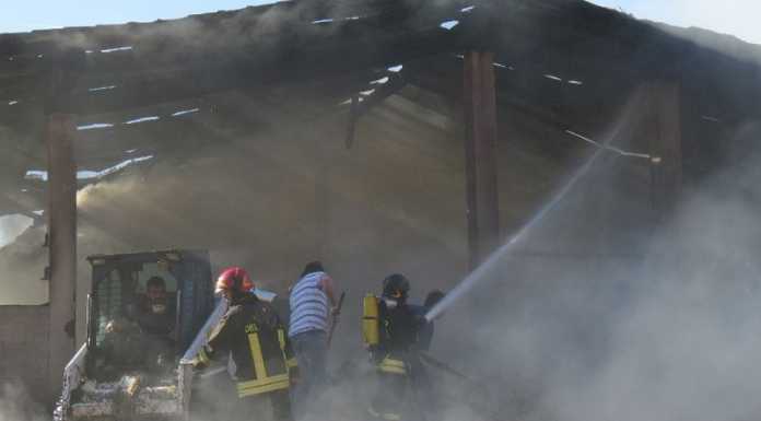 Introbio: le fiamme devastano un’azienda agricola
