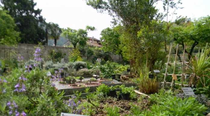 “Il seme della cultura”, all’orto botanico arte, musica e tradizione