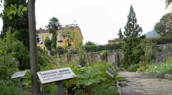 Valmadrera, apertura straordinaria per l’orto botanico il 5 giugno