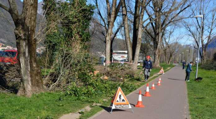 Rivabella: taglio piante per migliorare la sicurezza della ciclabile
