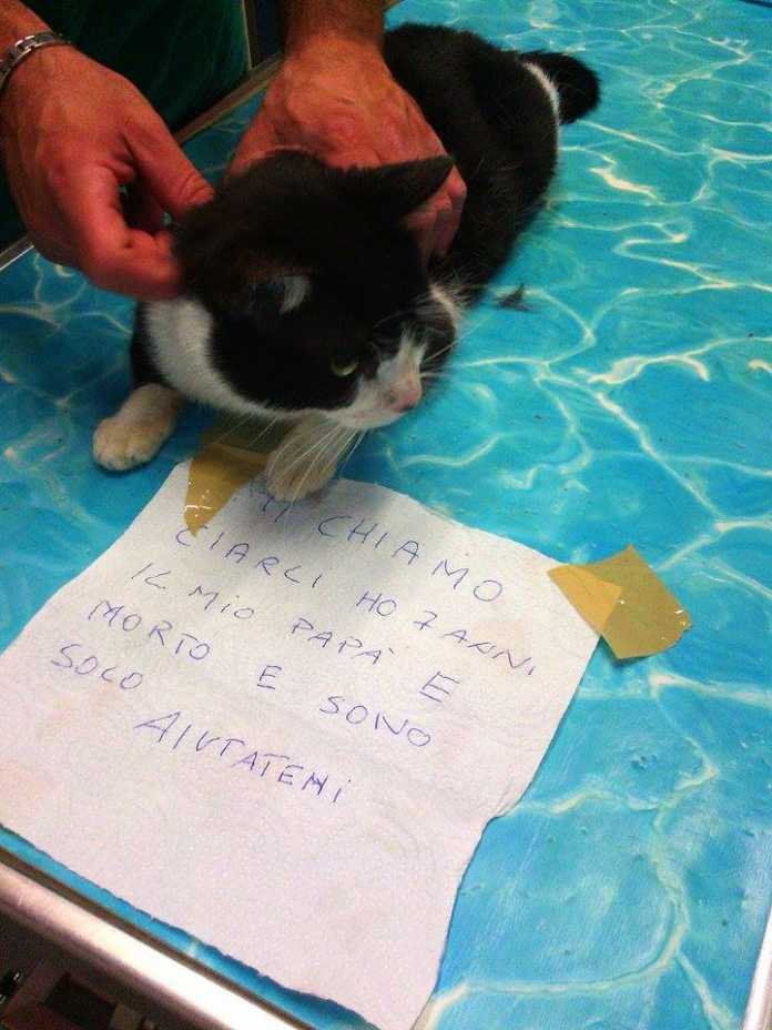 11011203_10205818712123260_4269653406120685648_n