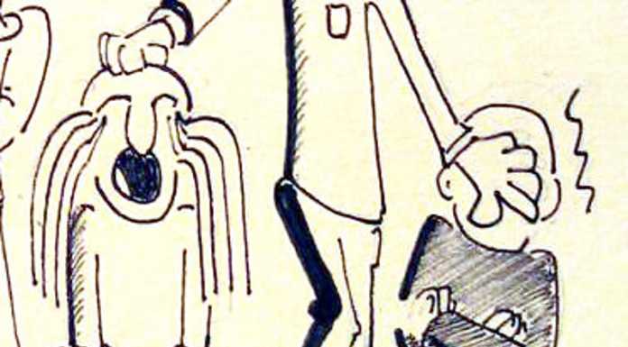 La Vignetta di Giò dedicata al flop dello “spettacolo” di luci