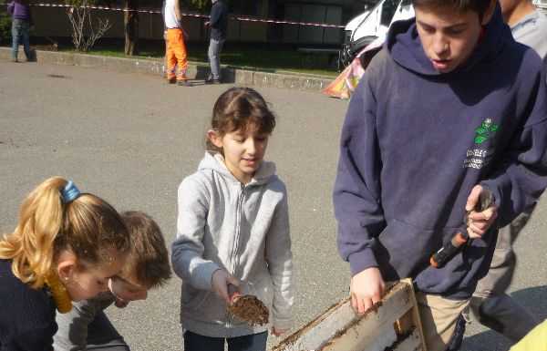 Il cortile della scuola primaria “G. Oberdan” rinnova il look