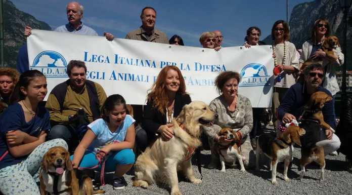 A Lecco sfilano cani e padroni, Brambilla: “Riapriremo il canile”