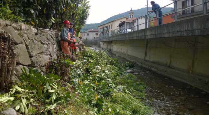 Dolzago: i volontari ripuliscono il torrente Gandaloglio