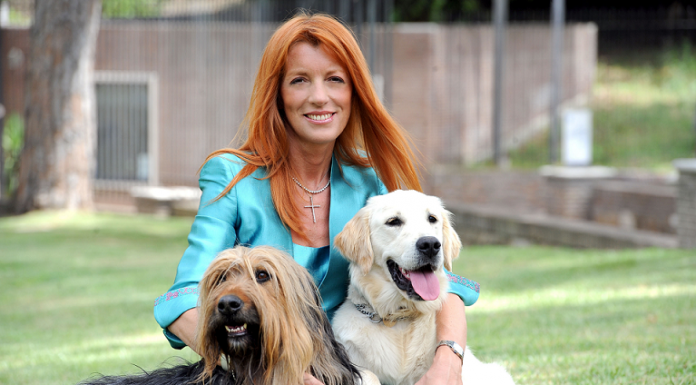 Canile, FI: “Brivio lo ha chiuso, Negrini lo restituirà ai cittadini”