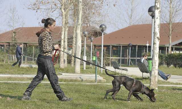 Vivere Lecco: una serata dedicata al tema del Parco Canile
