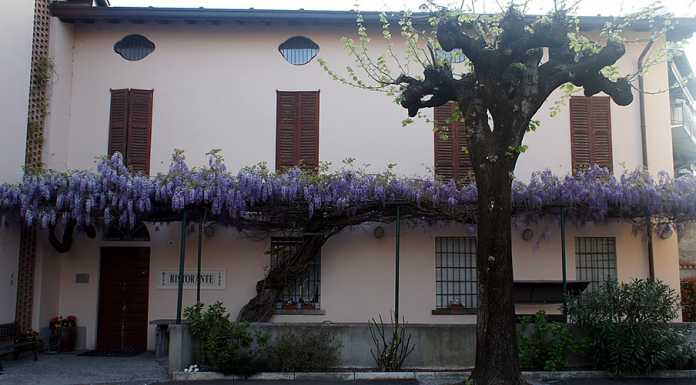 La cucina brianzola è di casa al Ristorante Riva di Molteno