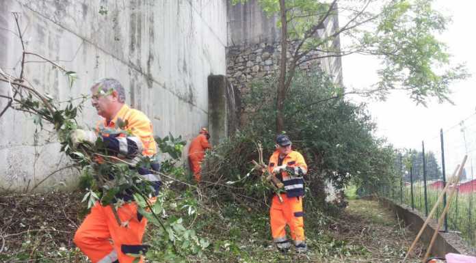 Mandello, Protezione civile all’opera sul sentiero che sale a Maggiana