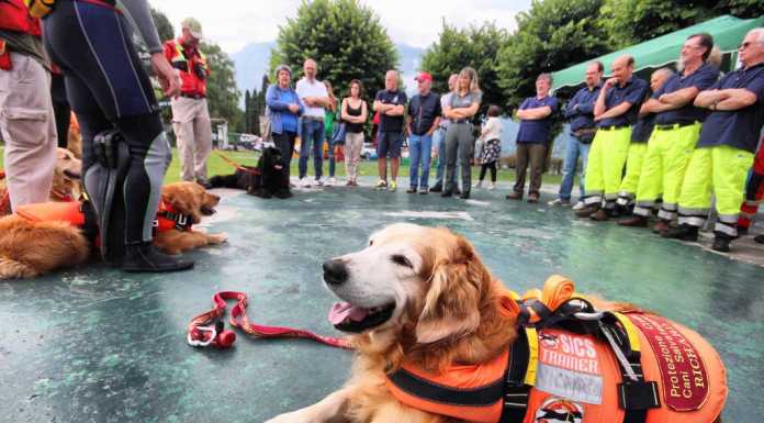 Via all’operazione Lario Sicuro: protagonisti i cani da salvataggio