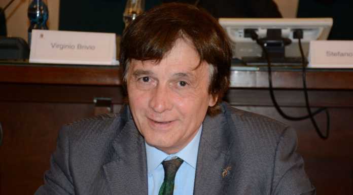 Ordinanza anti-randagi. L’ex assessore Venturini: “Spero sia un malinteso”