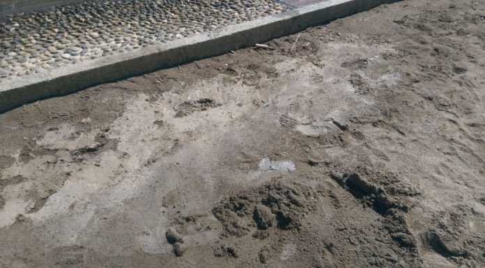 Lettera da Malgrate: “Sporcata di cemento la spiaggia dei bimbi”
