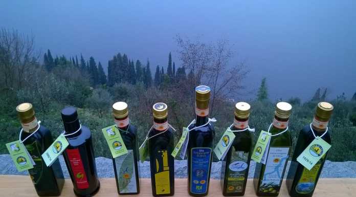 Il 28 giugno torna “Perledolio” tra cantine aperte e prelibatezze