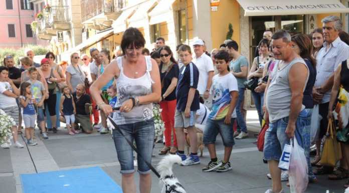 Domenica a Lecco la sfilata degli amici a 4 zampe con Freccia 45