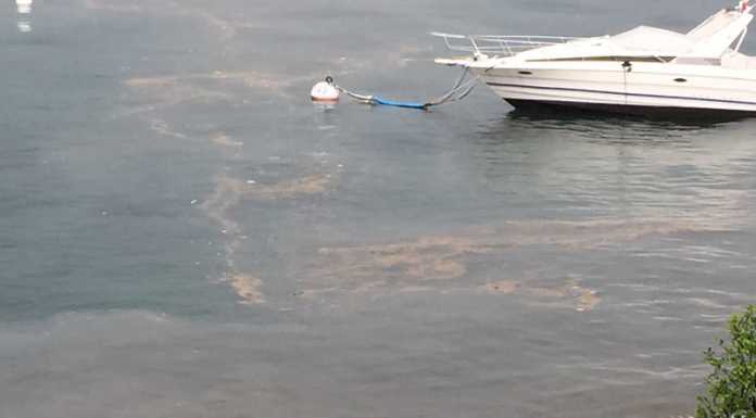 Valmadrera. Dopo la moria di pesci, Rio Torto di nuovo sporco