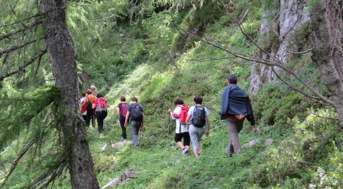 Montagna: 97 mila euro ai Comuni per sistemare i sentieri