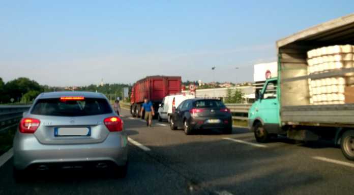 Cane vagante in “super”: auto, moto e tir si fermano per salvarlo