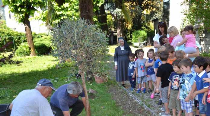“Santa Giovanna Antida”: messo a dimora l’ulivo donato alle suore