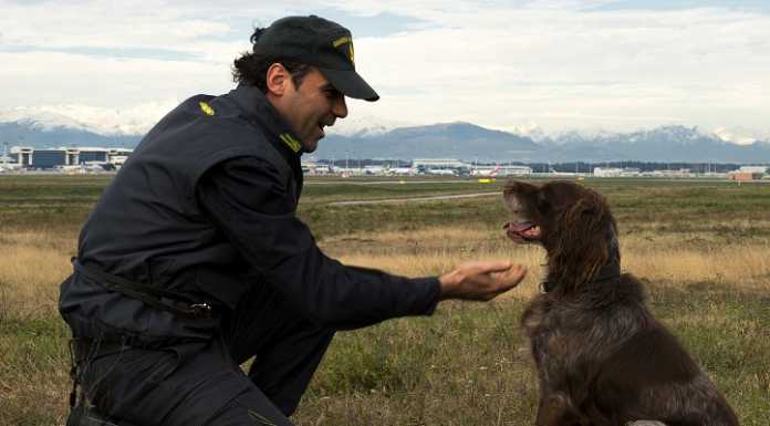 Lucas, cane antidroga, dopo 12 anni di servizio si gode la pensione