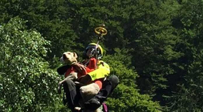 Cane e padrona finiscono in un crepaccio: salvati