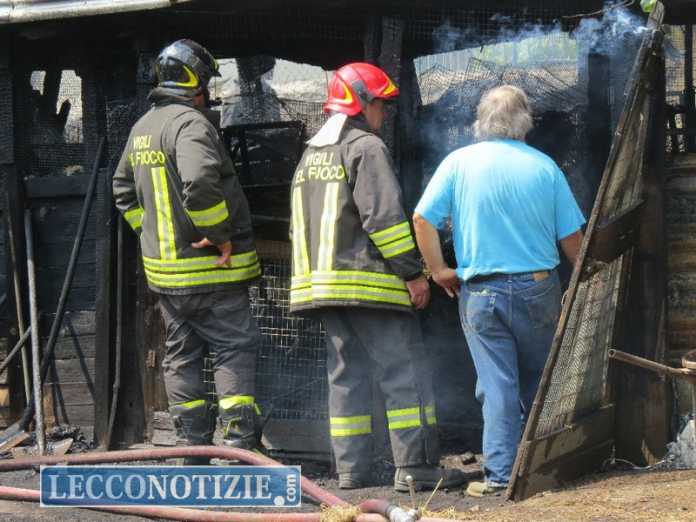 incendio_pollaio (18)
