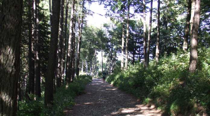 Cai Lecco Strada Storta, domenica 24 ottobre escursione al Parco Valentino