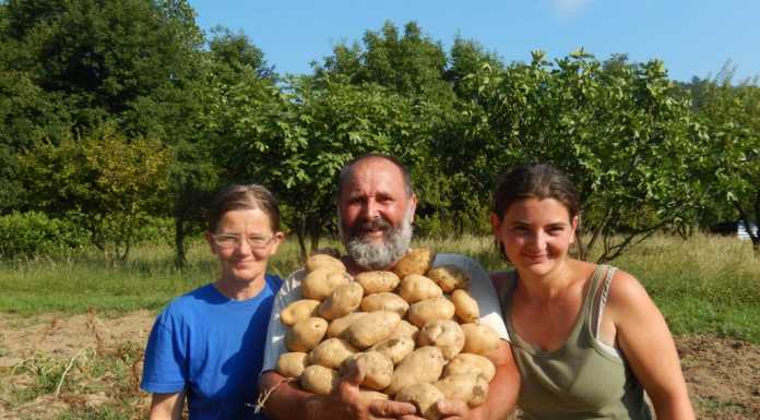 Angelo Fontana: “L’orto può cambiare la vita di giovani e pensionati”