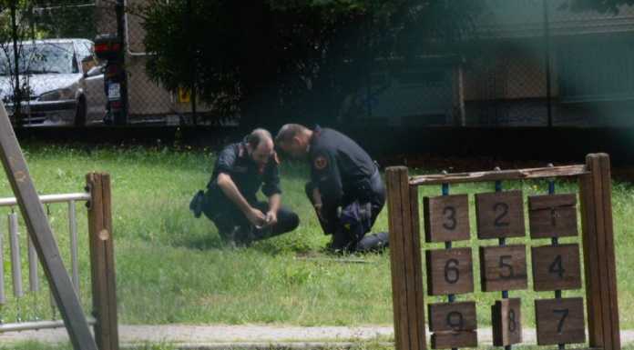 Bomba al parco di Belledo: gli artificieri la fanno “brillare”- VIDEO