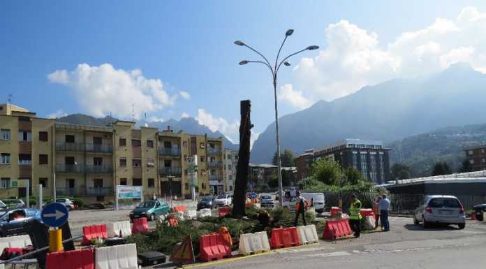 Tagliato il Cedro posto nel bel mezzo della rotonda di viale Adamello