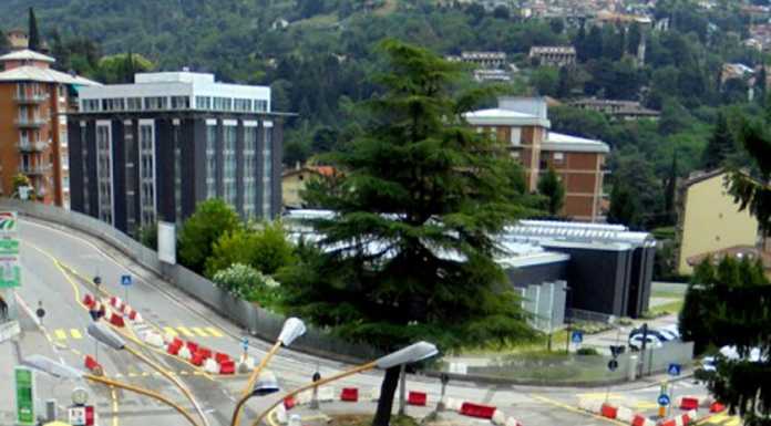 S. Giovanni: cedro “pericoloso” sul nuovo rondò, verrà rimosso